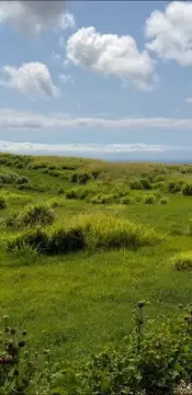 Agricultural Land with Ocean Views