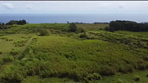 Agricultural Land with Ocean Views