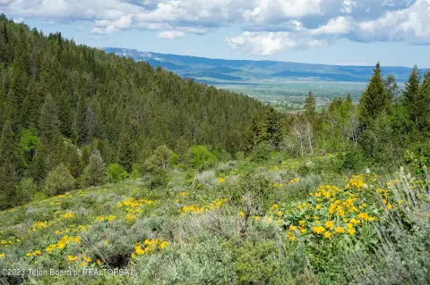 Wooded Land Homesite with Views