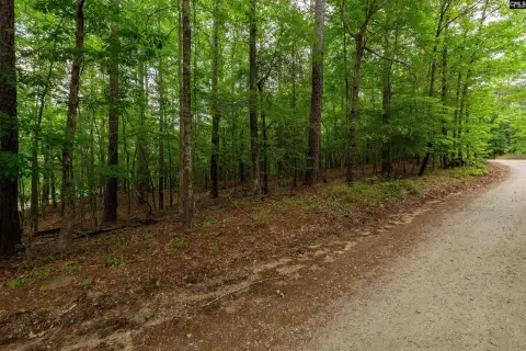 Lake Wateree View Homesite