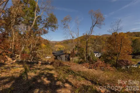 Asheville Lot with Mountain Views