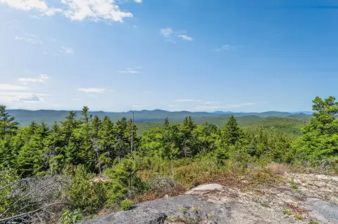 Large Hunting Land Tract