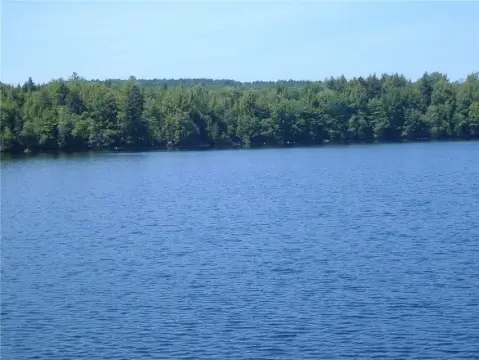 Waterfront Land with Level Lot