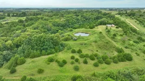 Hunting Land with Cabin
