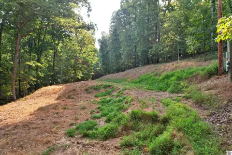 Kentucky Lake Waterfront Residential Lot