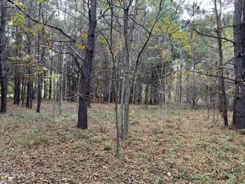 St. Helena Island Wooded Lot