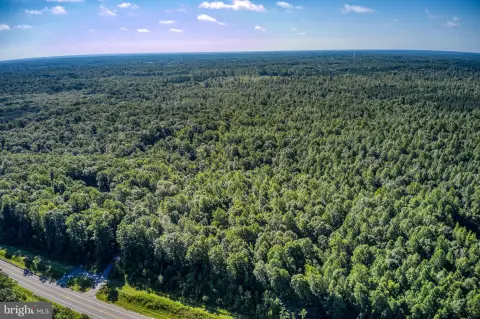 555+ Acre Spotsylvania Land Parcel