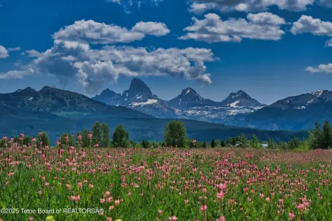 Tetonia, ID Land with Views