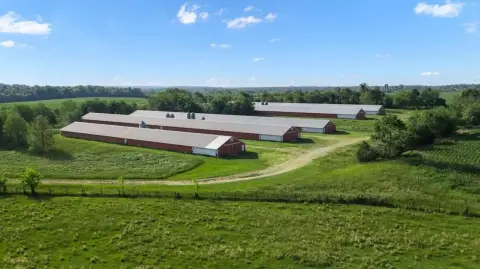 Pullet Houses and Acreage
