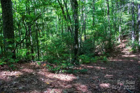 Brevard, NC Land For Sale
