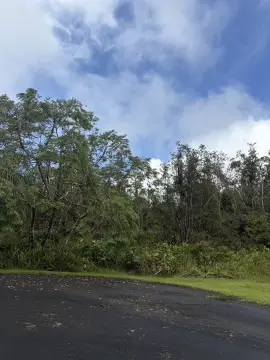 Wooded Land Parcel