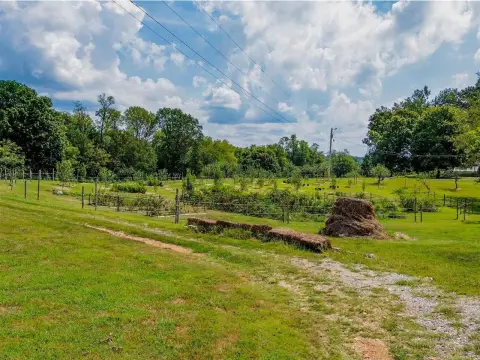 Agricultural Land with Road Frontage