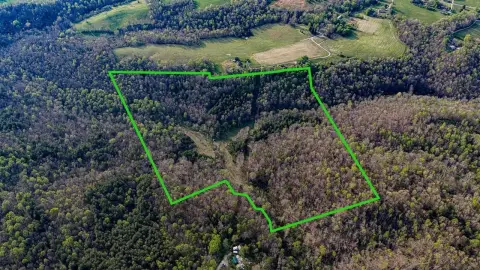 Wooded Recreational Land