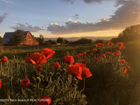 Alta, Wyoming Land Parcel