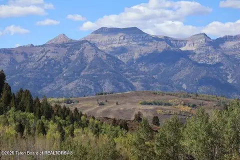 24-Acre Site Near Jackson