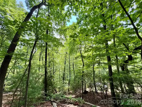 Mountain Residential Land Lot