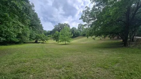 Residential Building Lot with Trees