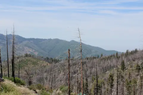 Land Parcel in Springville, CA