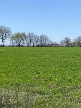 Cleared Agricultural Land with Pond