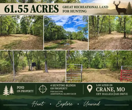 Ozarks Recreational Land with Pond