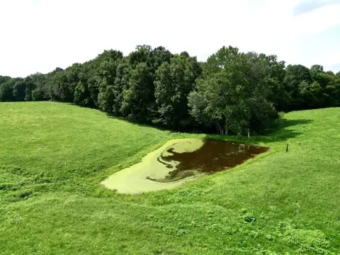 Fenced Farmland Tract
