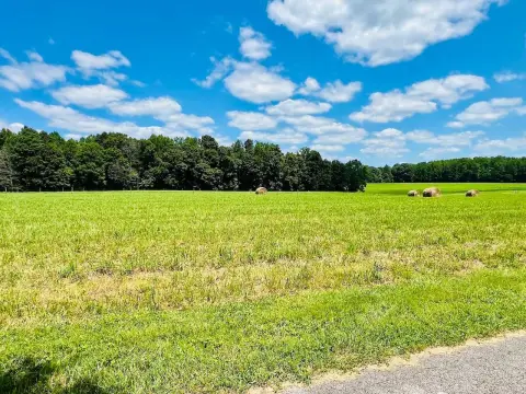 Cleared Farmland Tract