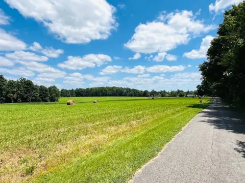 Cleared Agricultural Land