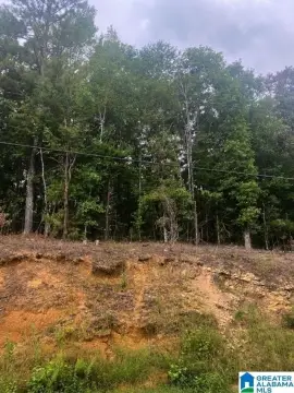 Land For Sale in Columbiana