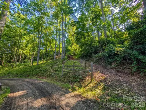 Wooded Mountain Homesite
