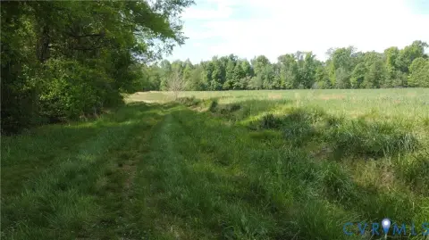 151 Acres Wooded Land