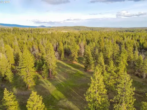 Recreational Hunting Land Parcel
