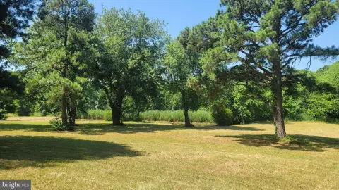 Waterfront Land Lot