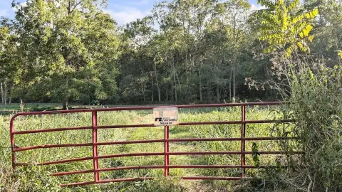 Hunting Land with Mature Timber