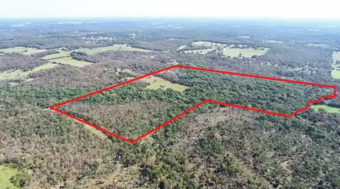 Recreation Land with Creek Bottoms