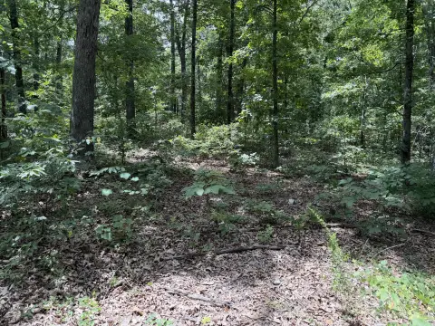 Wooded Recreation Land Acreage