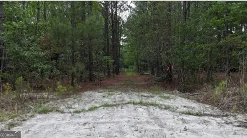 Sylvania Land Near Savannah River