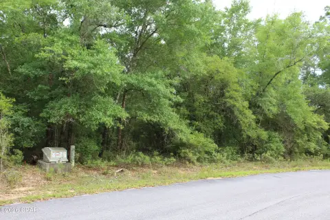 Buildable Land Near Holmes Creek