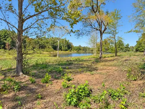 Waterfront Land with Lake Frontage