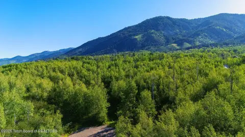 Wooded Residential Land Lot