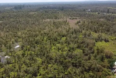 Wooded Agricultural Land
