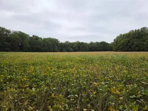 Agricultural Land with Creek