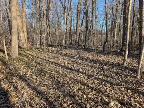Residential Land in Fort Wayne