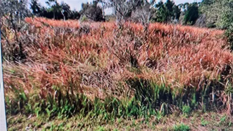 Residential Lot in Growing Area