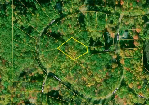 Wooded Recreation Land Parcel