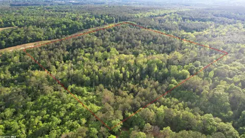 38 Acres in Century, Florida