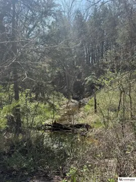 40 Acres of Nebraska Land