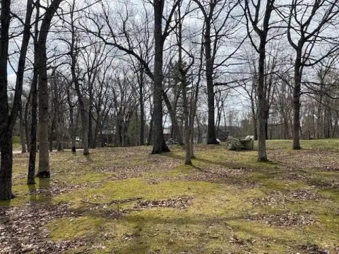 Wooded Lot Near Wolf Lake