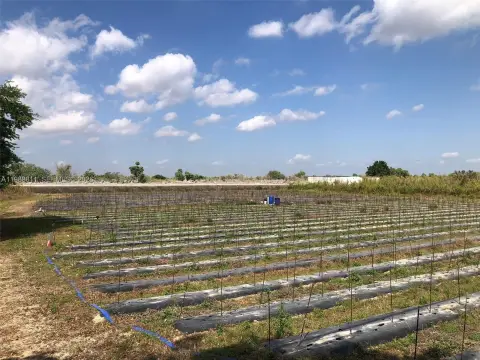 Waterfront Land with Everglades View