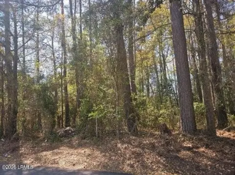 Residential Land in Beaufort, SC