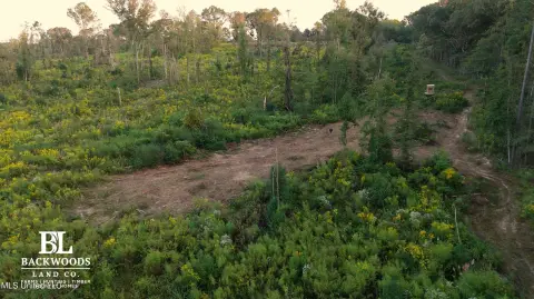 Gently Rolling Hunting Land